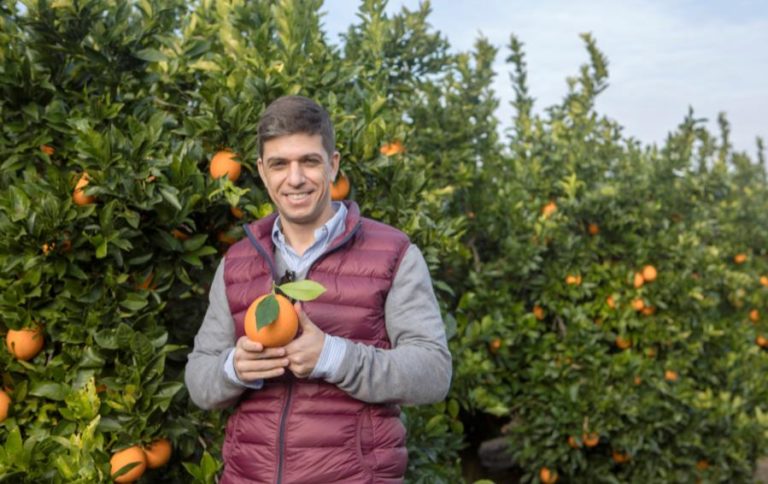 Naranjas españolas en Mercadona